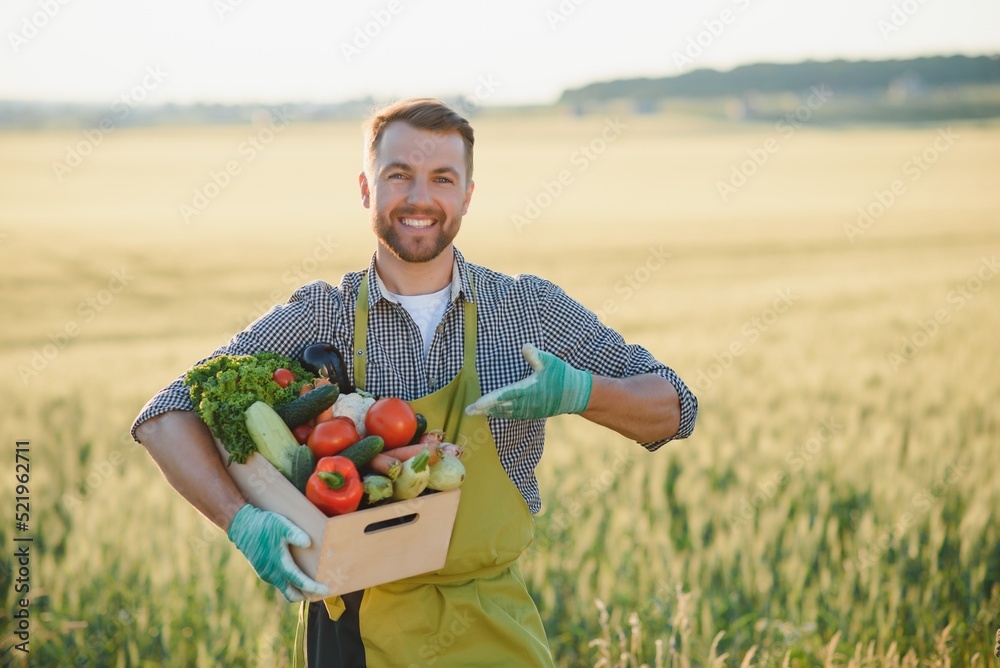 Wall mural farmer carrying box of picked vegetables