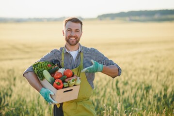 farmer carrying box of picked vegetables