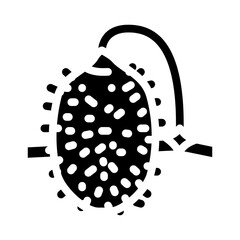 cucumber anguria glyph icon vector. cucumber anguria sign. isolated symbol illustration