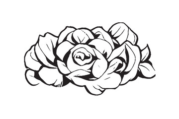 Beautiful Rose Illustration Black and White