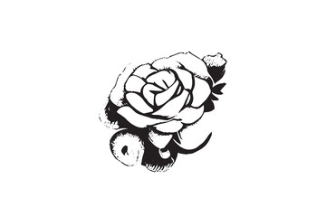Beautiful Rose Illustration Black and White