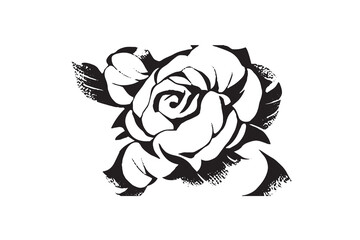 Beautiful Rose Illustration Black and White