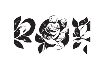 Beautiful Rose Illustration Black and White