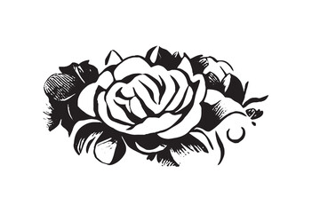 Beautiful Rose Illustration Black and White