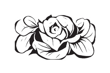 Rose Illustration Black and White