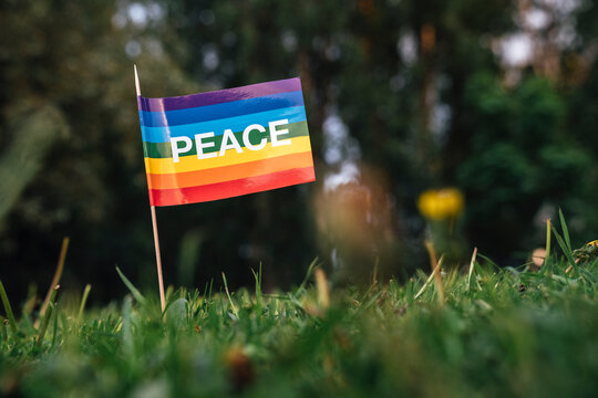 Peace flag on meadow at park