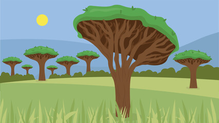 Dragon trees in the savannah, illustration, vector