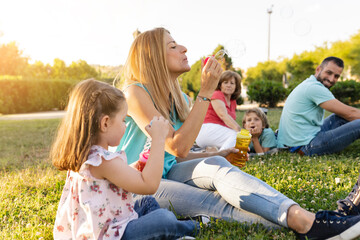 Mother and daughter blowing bubbles sitting by family at park