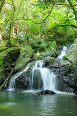 夏の五塔の滝　福岡県篠栗町　Goto Falls in summer. Fukuoka-ken Sasaguri town.