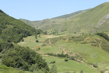 Paisaje verde