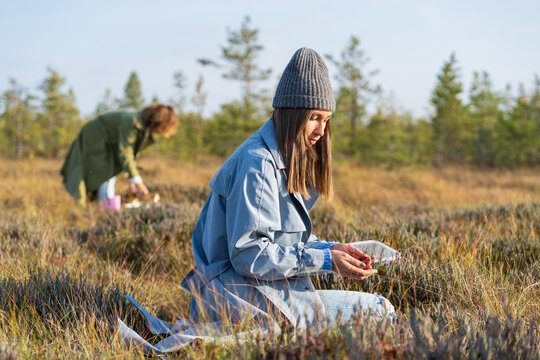 Young woman in hipster hat picks up ripe cranberries near sister in green jacket against rare trees. Lady in blue denim jacket examines meadow sitting on grass closeup. Autumn leisure entertainment