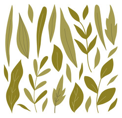 Set of various green leaves and twigs of different shapes. Vector illustration in hand-drawn flat style. Perfect for cards, logo, decorations, spring and summer designs. Botanical clipart.