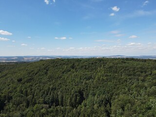 Fototapeta na wymiar Drone shot of treetops in the forest with a beautiful blue sky in summer 