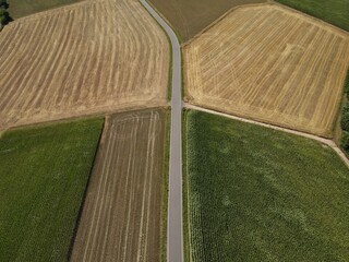 Aerial view of a landscape with a road between agriculture fields in summer 