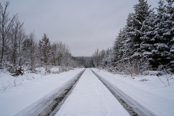 Obraz premium Winter landscape with snowy trees and a snowy road with lanes 