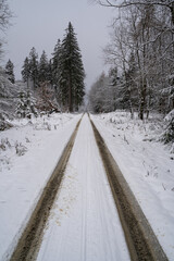 Obraz premium Tire tracks on a snowy road between trees in the forest 