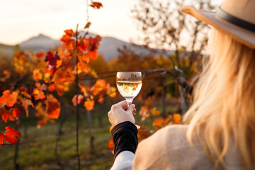 Woman examining white wine in wineglass through sunlight during sunset