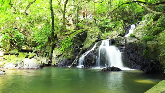 夏の五塔の滝　タイムラプス　福岡県篠栗町　Goto Falls in summer.  time lapse. Fukuoka-ken Sasaguri town.