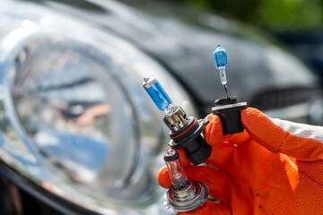 Car service men hold a halogen lamp for repairing or changing a headlight. © RomanR