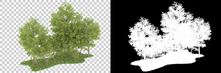 Obraz premium Forest isolated on background with mask. 3d rendering - illustration