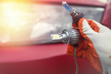 Car service men hold a halogen lamp for repairing or changing a headlight.
