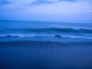 Obraz premium OLYMPUS DIGITAL CAMERA