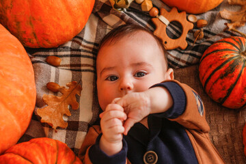 A three-month-old baby lies with pumpkins on a blanket. Cute boy posing on the background of a pumpkin.
