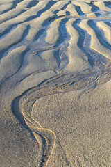Dragon Hill, Santa Cruz Island, Galapagos, Ecuador, Unesco World Heritage Site