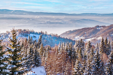 aerial winter mountain panorama, snow trees