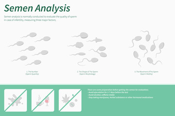 Semen Analysis horizontal infographic.ai horizontal infographic illustration about infertine healthcare and medical science vector. - obrazy, fototapety, plakaty