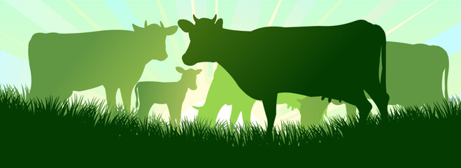 Cow grazing on pasture grass. Picture silhouette. Farm pets. Animals for milk and dairy products. On background sunrise. Vector - obrazy, fototapety, plakaty