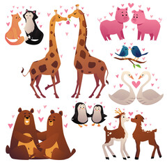 Cute animal couples set, cartoon flat vector illustration isolated on white background.
