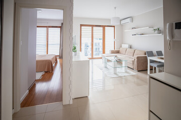 Fototapeta na wymiar jasne mieszkanie w minimalistycznym stylu 
