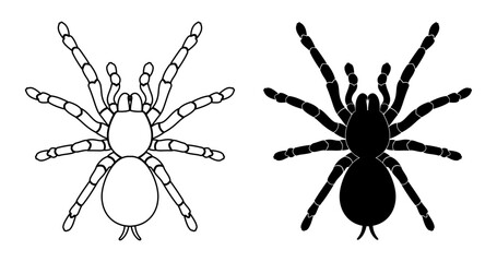 spider, tarantula silhoutte vector - obrazy, fototapety, plakaty