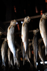 Old traditional Dutch smokehouse in fisherman's village in Horth Holland - rows of smoked herrings...
