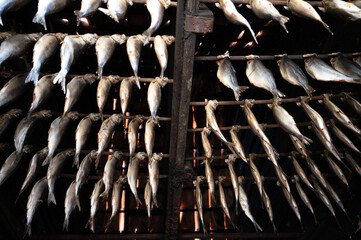 Old traditional Dutch smokehouse in fisherman's village in Horth Holland - rows of smoked herrings...