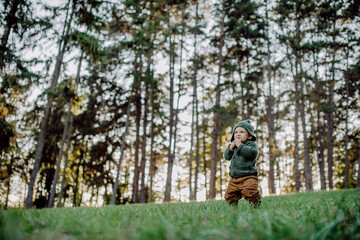 Portrait of cute little boy wearing knitted hoodie in nautre,during sunset, autumn concept.