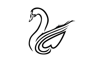 black and white swan © MostNajninAktar