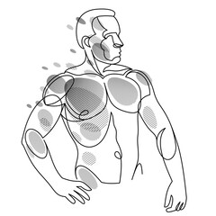 Linear drawing of a perfect body fit model man posing vector illustration isolated, muscular macho sexy guy with naked torso topless.