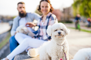 Adult couple enjoying sunny day with their dogs.