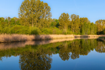 Fototapeta na wymiar Ufer des Ümminger Sees