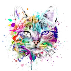 Fotobehang abstract colorful cat muzzle illustration, graphic design concept © reznik_val