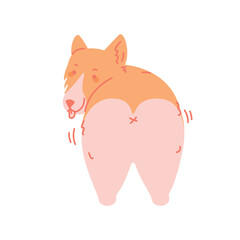 Doodle Corgi dog. Cute Welsh Corgi Vector. Cartoon illustration isolated on white background. Funny corgi shaking butt.