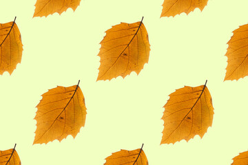 Naklejka na ściany i meble Yellow dry autumn leaves on yellow background. Seamless repeating pattern.