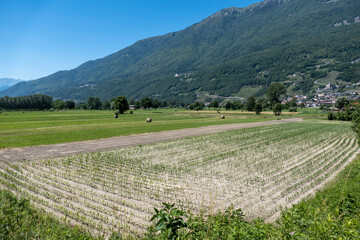 Valtellina, Lombardia