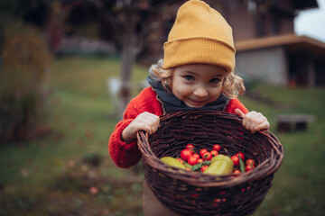 Little girl in autumn clothes harvesting bio vgetables in her basket in family garden....