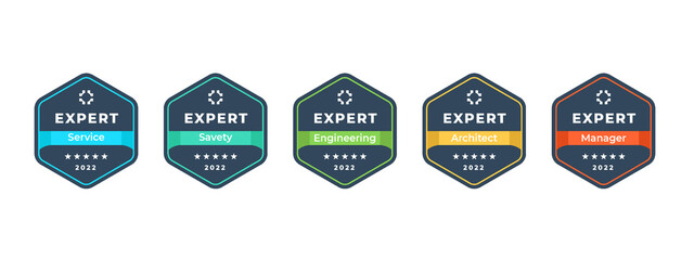 Certification badge design. Geometric Hexagon Logo shape. Vector Illustration.