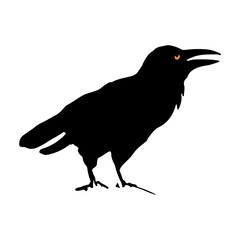 Fototapeta premium Crow silhouette. Spooky bird icon illustration for Halloween Holiday.