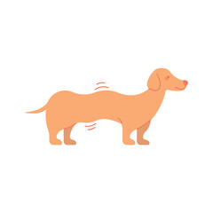 Doodle Wavy Dachshund. Vector Cartoon illustration on white background.