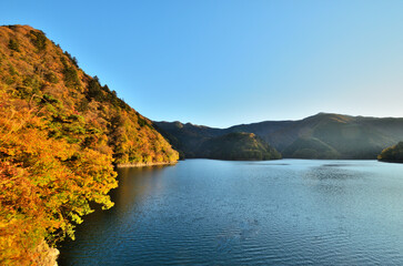 Fototapeta premium 奥多摩湖の紅葉と秋の風景